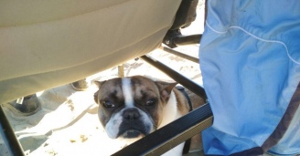 Фото Без труда не выловишь и рыбку из пруда №34