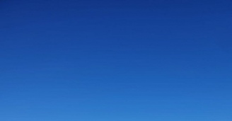 Фото Упрямая Шишига №4